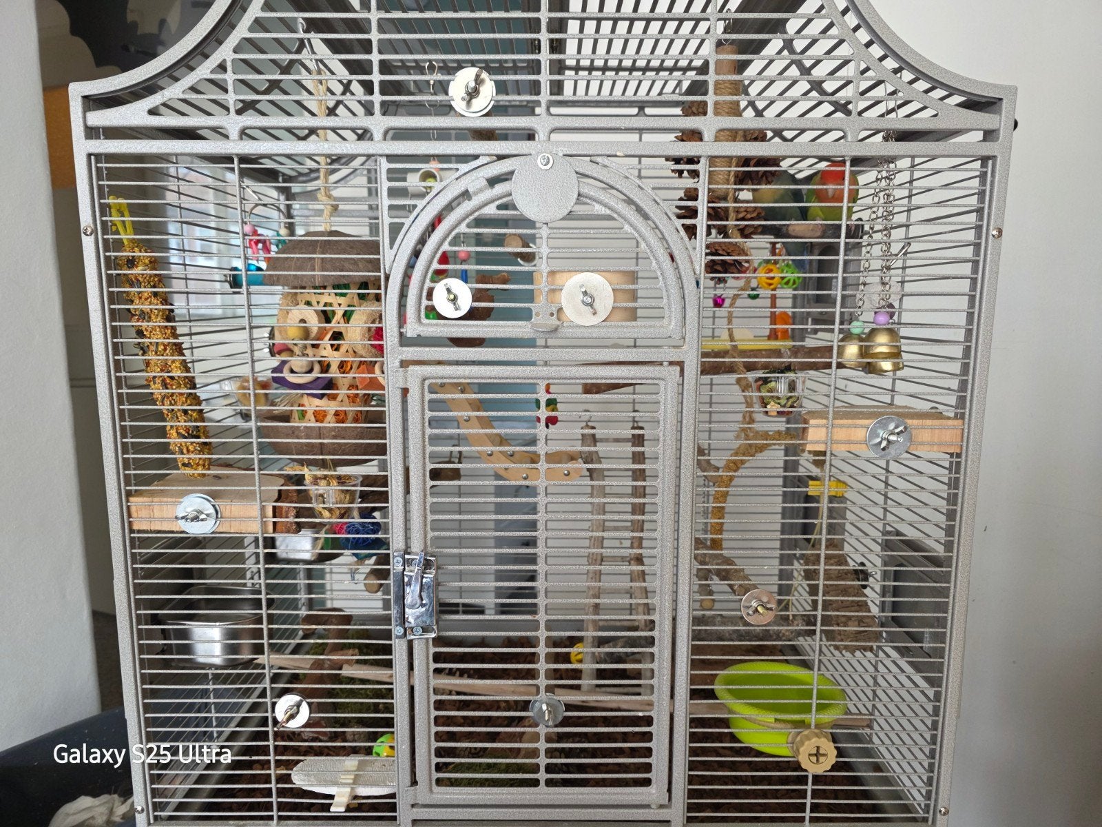 2 agapornissen en 2 kooien, Dieren en Toebehoren, Vogels | Hokken en Kooien, Ophalen, Zo goed als nieuw, Metaal, Vogelkooi