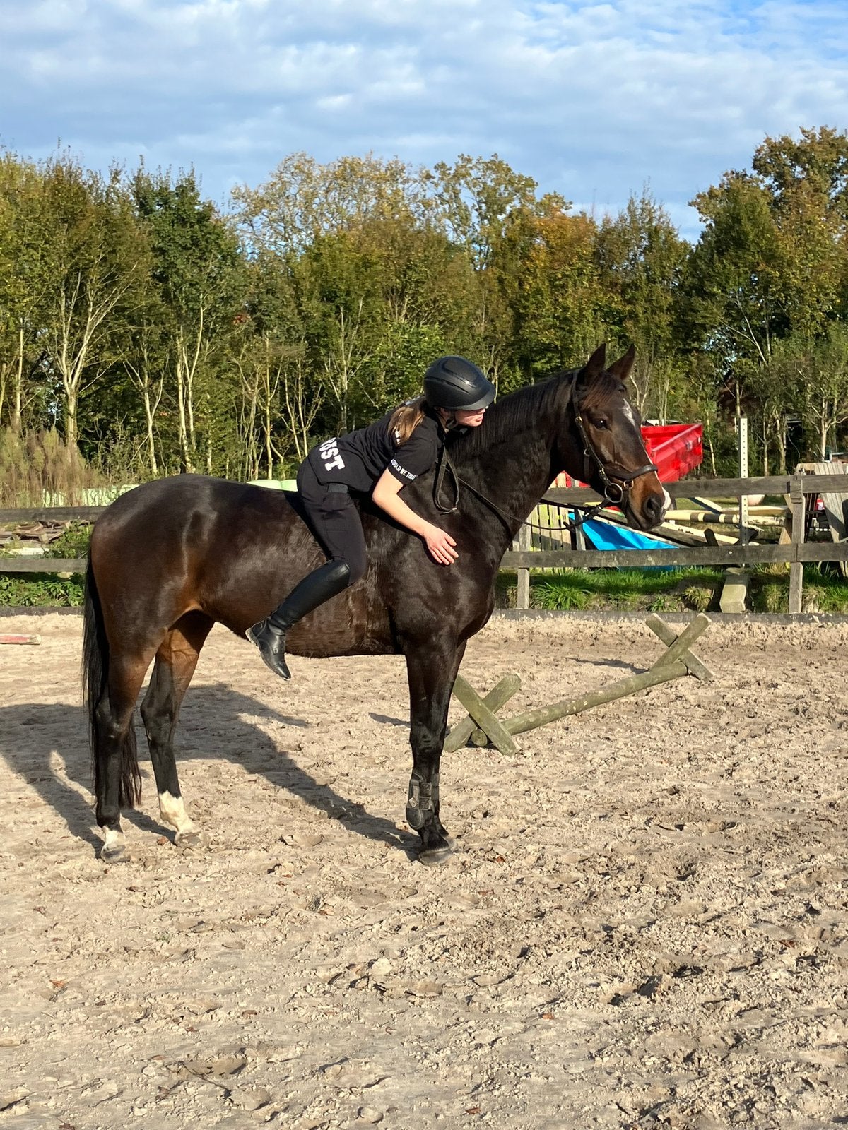 Verzorgpaard/bijrijdpaard gezocht!, Dieren en Toebehoren, Paarden en Pony's | Verzorgingsproducten, Ophalen of Verzenden