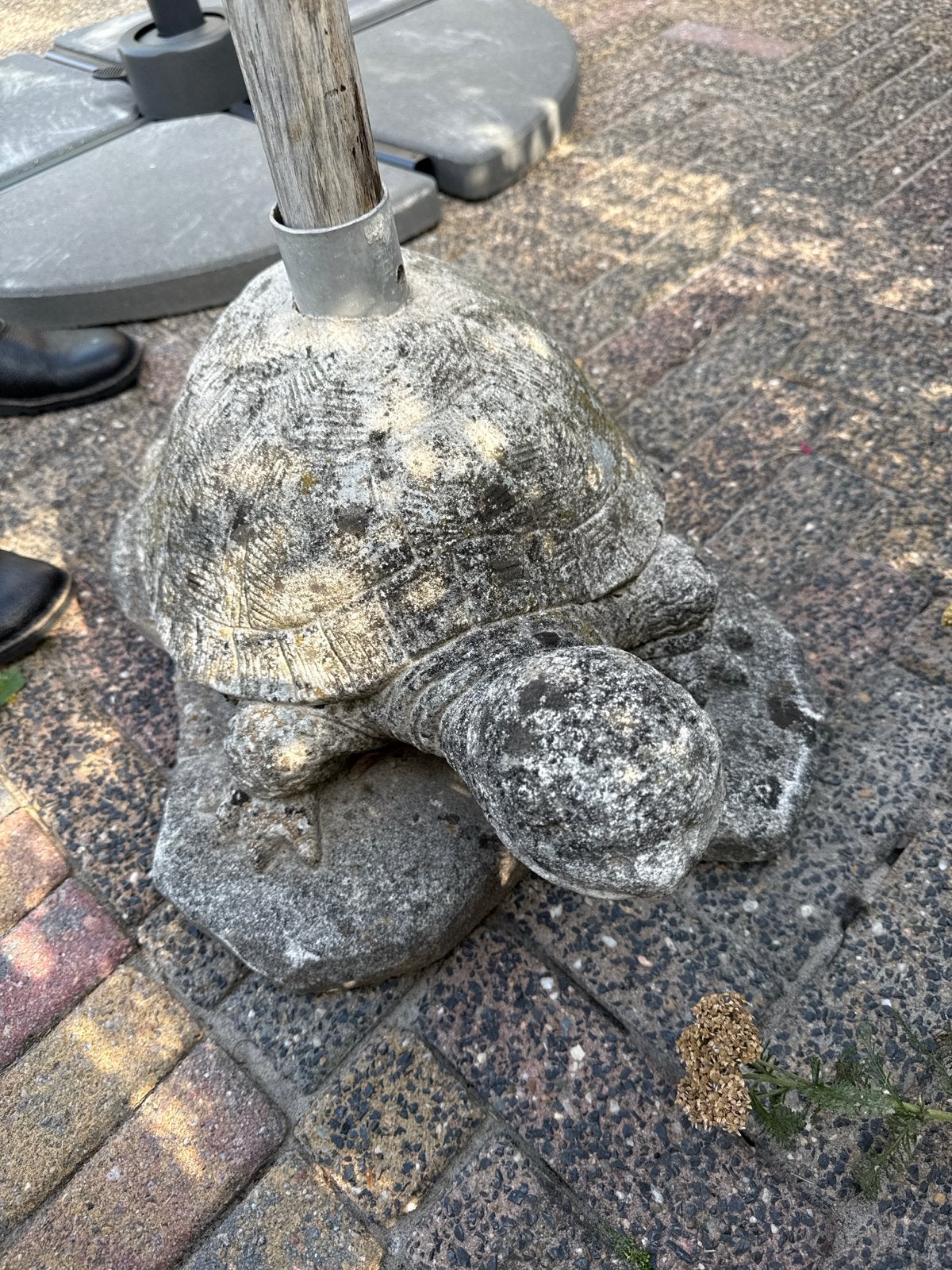 Grote stenen schildpad parasolvoet, Ophalen, Gebruikt, Beton, Dierenbeeld