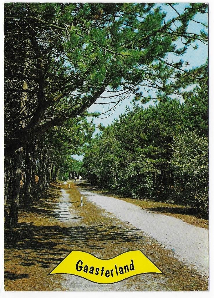 Gaasterland Gelopen Ansichtkaart (B2728, Verzenden, 1980 tot heden, Gelopen
