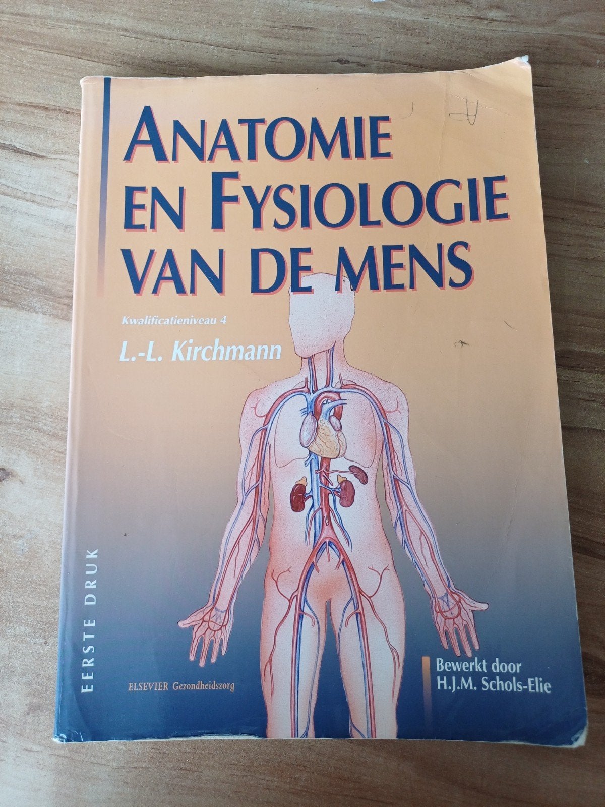 anatomie en  fysioologie Kwalificatieniveau 4 MBO, L.L. Kirchmann, Ophalen of Verzenden, Zo goed als nieuw, MBO