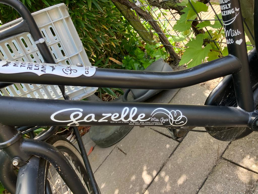 Stoere Gazelle Miss Grace meidenfiets met mand, 24 inch, Fietsen en Brommers, Fietsen | Meisjes, Ophalen, Terugtraprem, Versnellingen