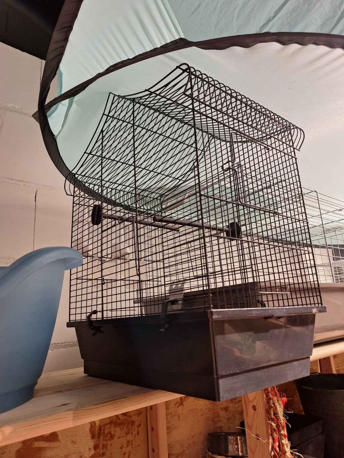 vogelkooi, Dieren en Toebehoren, Ophalen, Nieuw, Hout, Vogelkooi