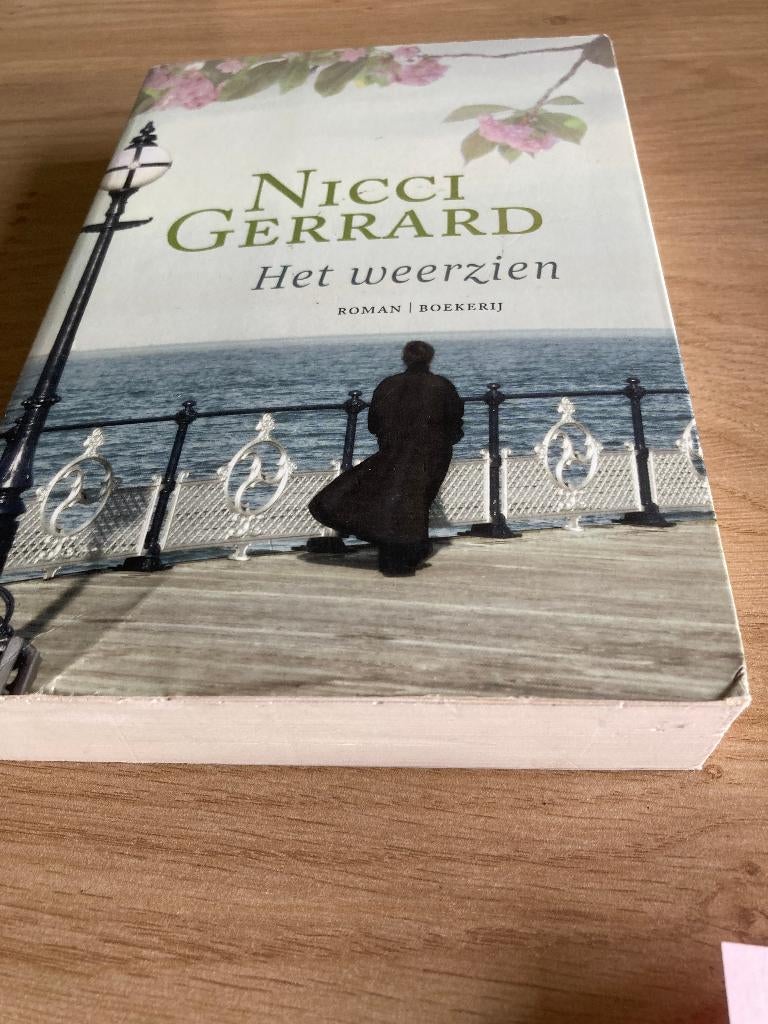 Boek Nicci Gerrard Roman, Ophalen of Verzenden, Gelezen