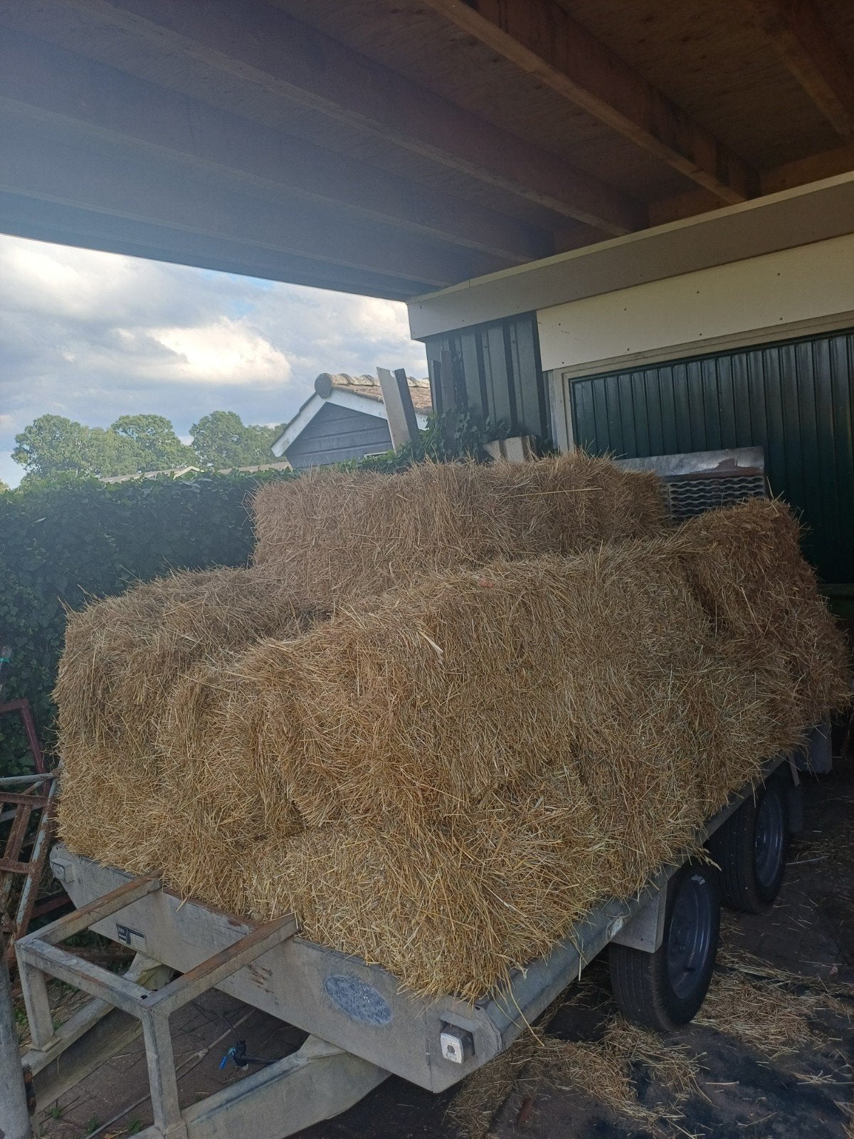 kleine hooi baaltjes, Dieren en Toebehoren, Ophalen of Verzenden, Vee
