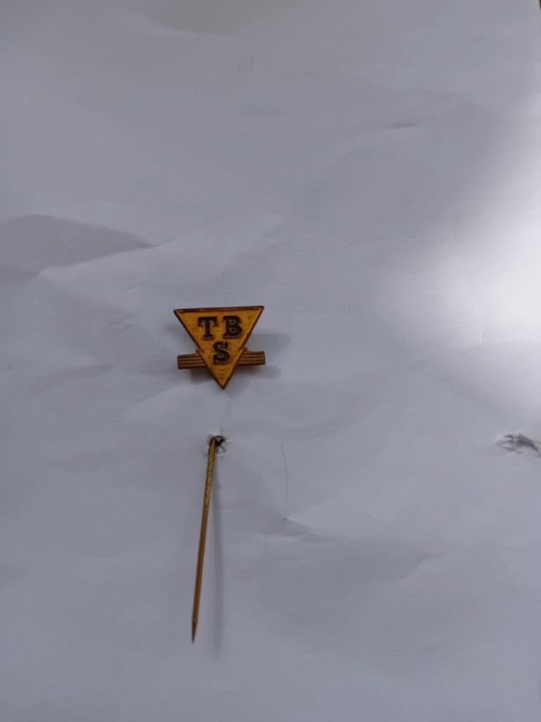 Pin - TBS - Soest, Verzamelen, Ophalen of Verzenden, Zo goed als nieuw, Merk, Speldje of Pin