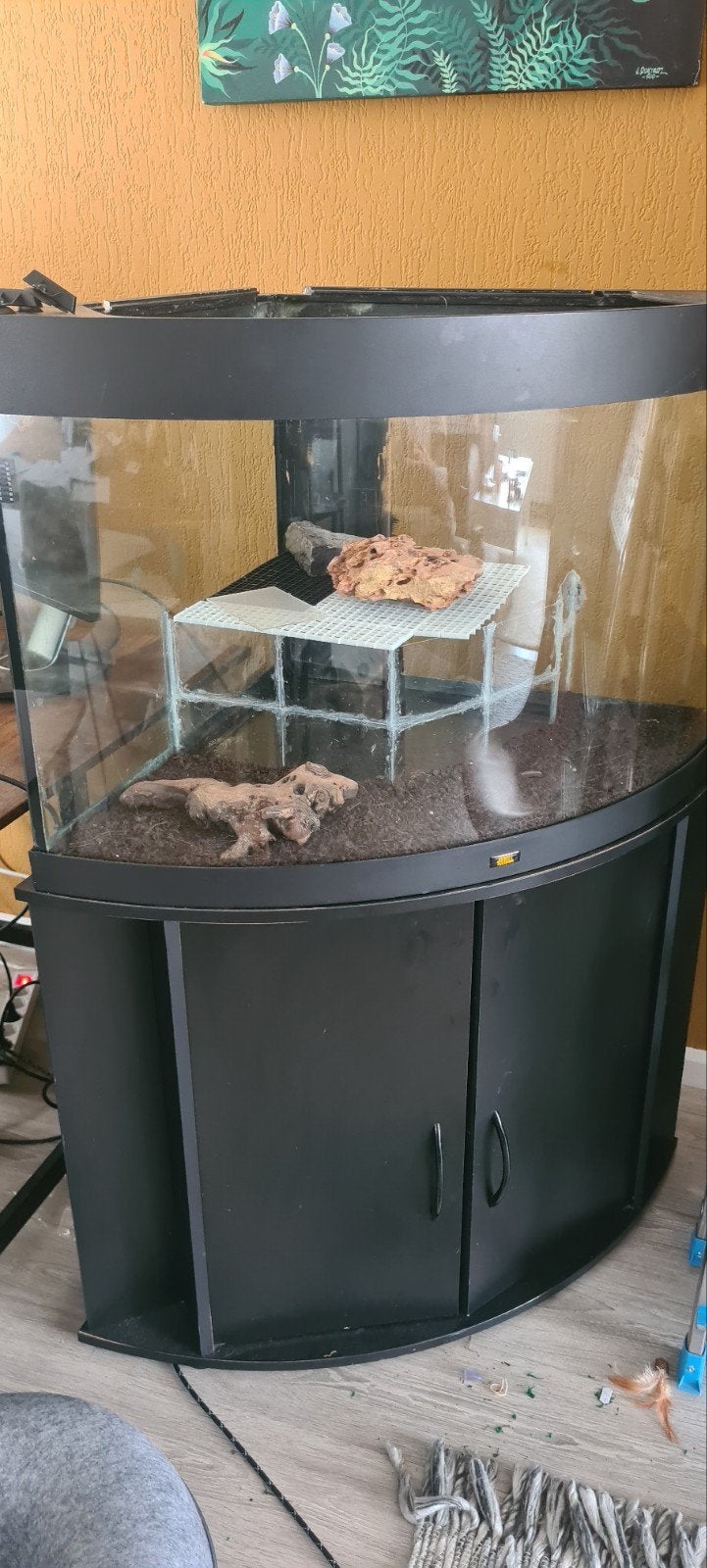 hoek aquarium, lek vrij + toebehoren, Dieren en Toebehoren, Ophalen, Inclusief deksel, Gebruikt, Leeg aquarium