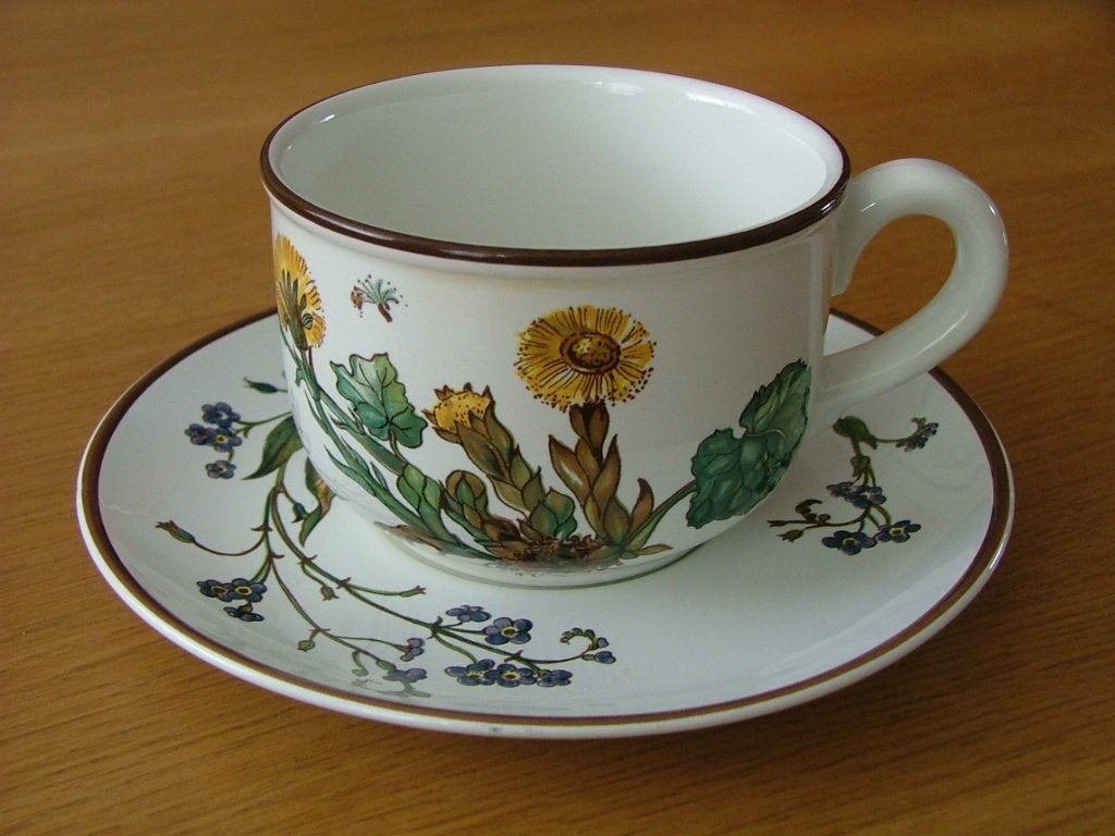 Villeroy & Boch grote kop en schotel Botanica, Villeroy & Boch, Ophalen of Verzenden, Zo goed als nieuw, Overige stijlen