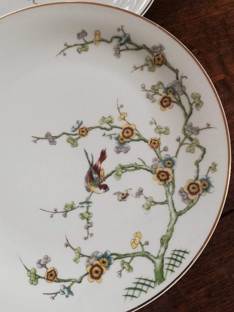 Supermooi vintage servies Cerabel heel fijn decor vogels, Ophalen, Overige typen, Zo goed als nieuw, Overige stijlen