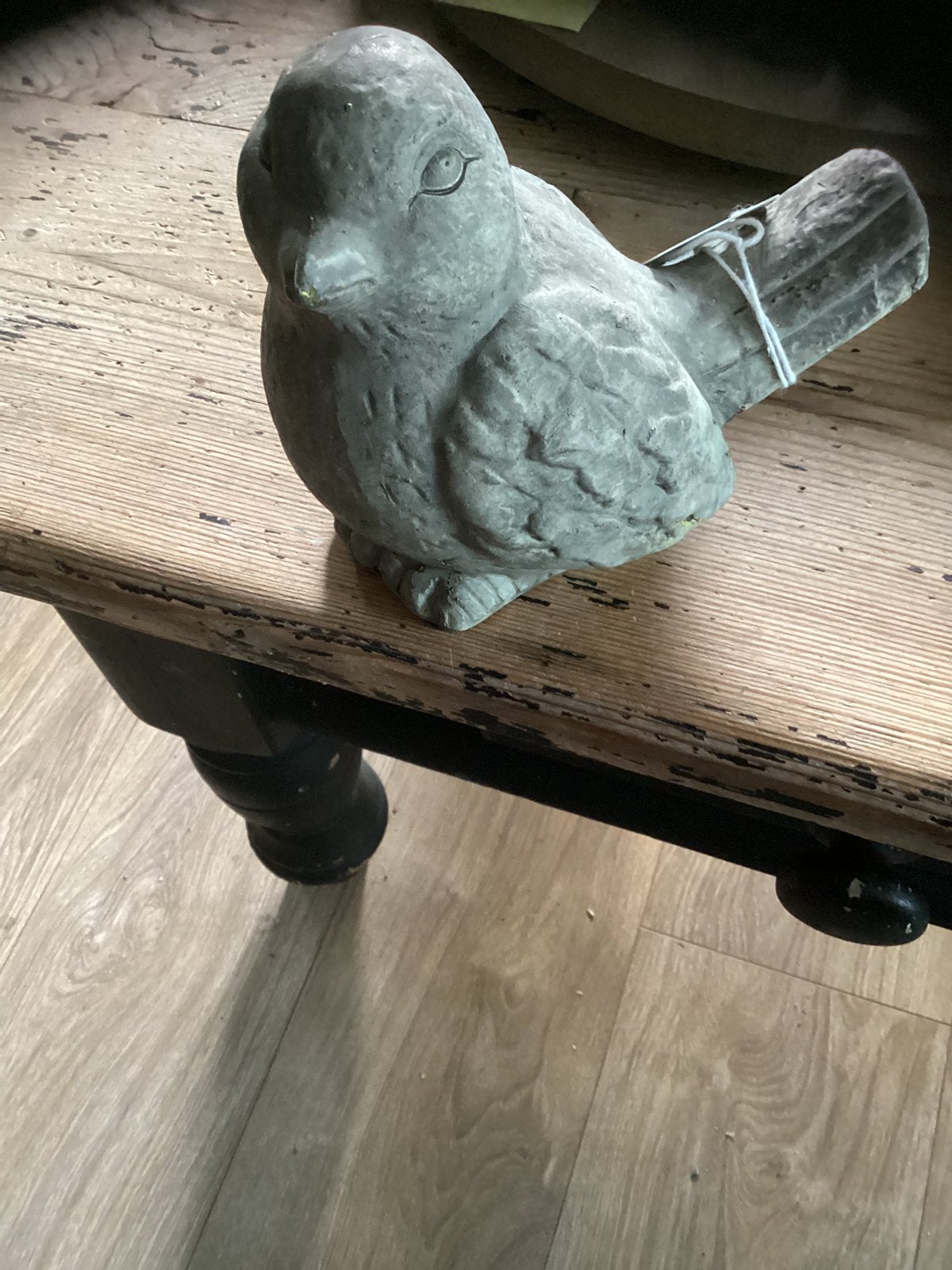 Vogel, Ophalen of Verzenden, Zo goed als nieuw, Dier