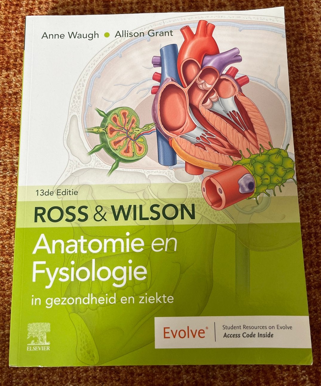 Ross & Wilson Anatomie en Fysiologie - 13e Editie, Boeken, Ophalen of Verzenden, Beta, Zo goed als nieuw, HBO