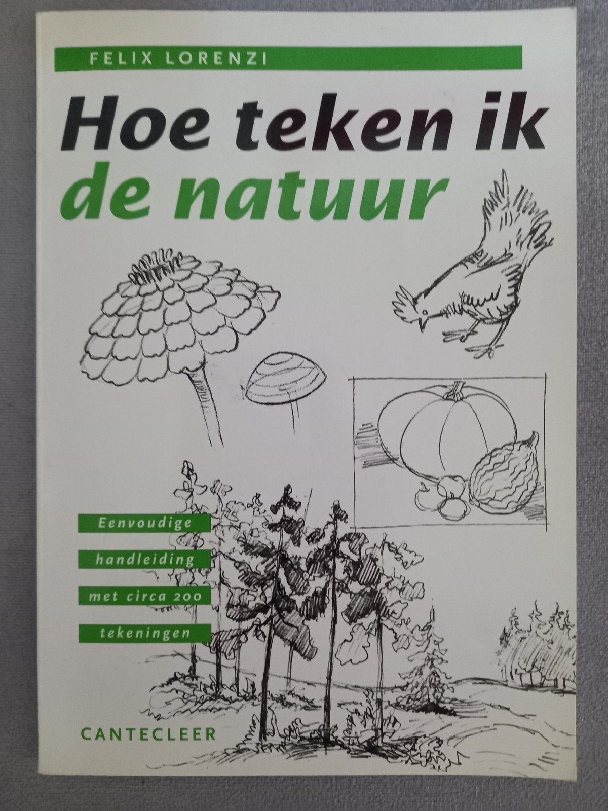 F. Lorenzi - Hoe teken ik de natuur, Ophalen of Verzenden, Zo goed als nieuw, F. Lorenzi