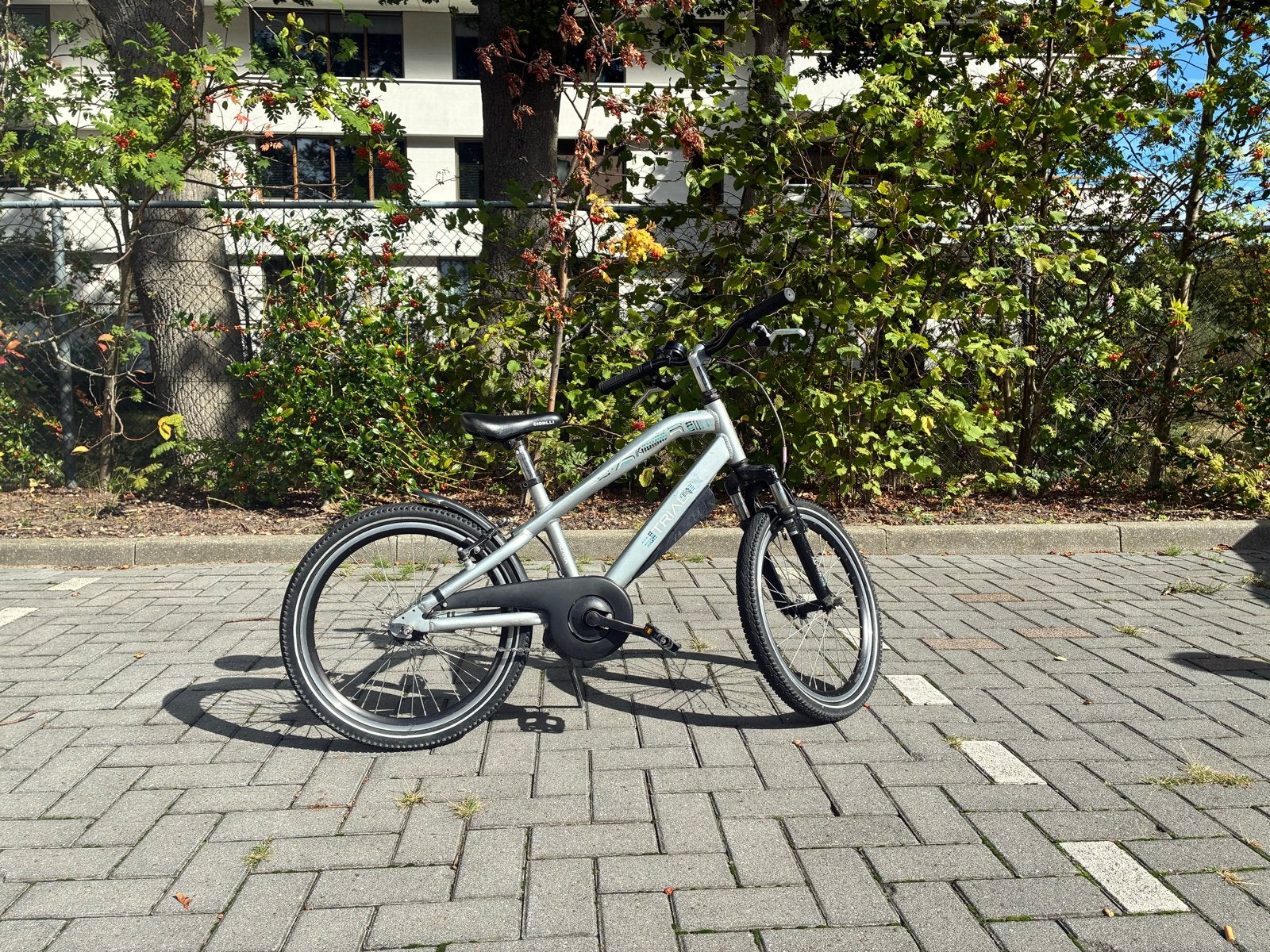 Alpina Trial 20 inch jongensfiets, Ophalen, Terugtraprem, Gebruikt, Handrem
