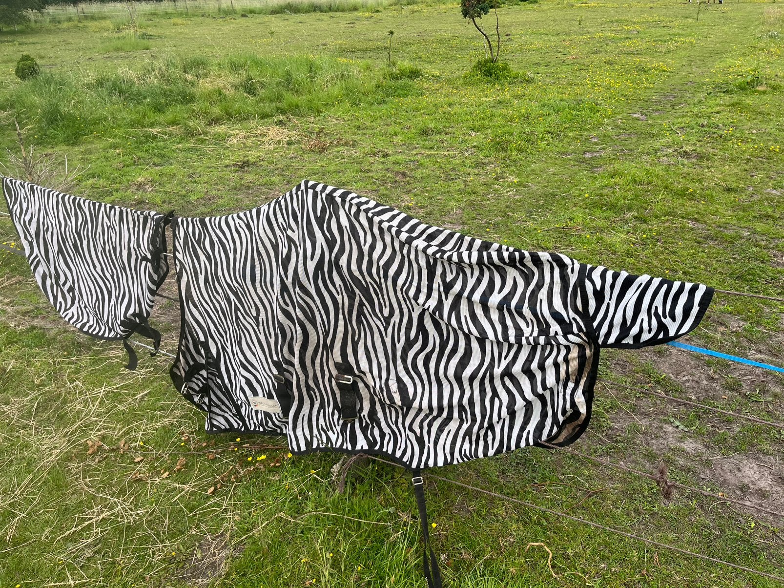 Anti vliegen deken zebra 1.55 / 2.05 maat, Dieren en Toebehoren, Ophalen, Zo goed als nieuw