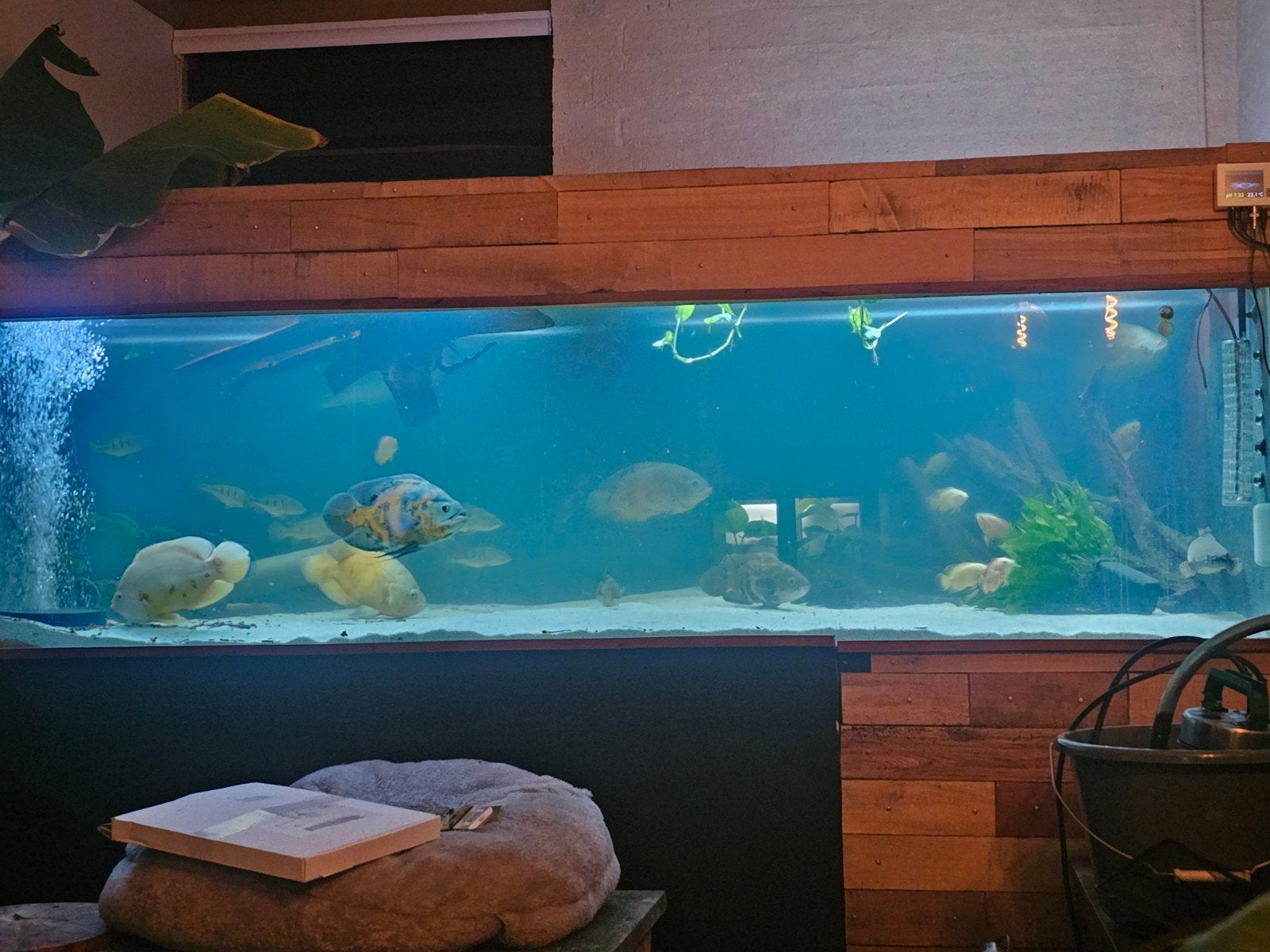 groot aquarium 246x120x80, Dieren en Toebehoren, Ophalen, Inclusief controller, Gebruikt, Leeg aquarium