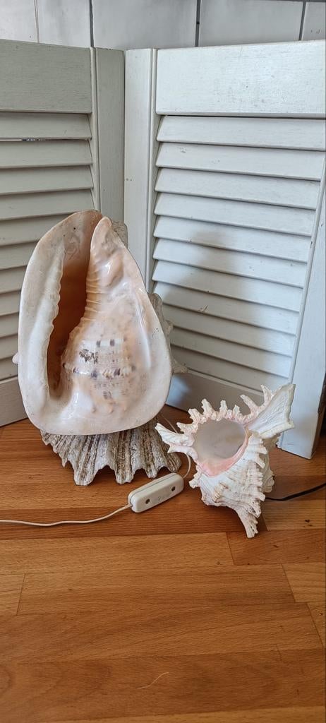 Vintage schelpen lampen set - groot en klein, Ophalen of Verzenden