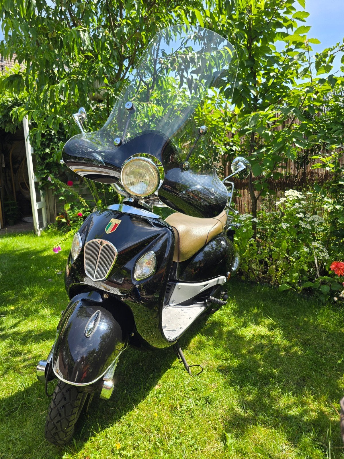 Pronto senior scooter, Ophalen, Gebruikt, Overige modellen, Benzine