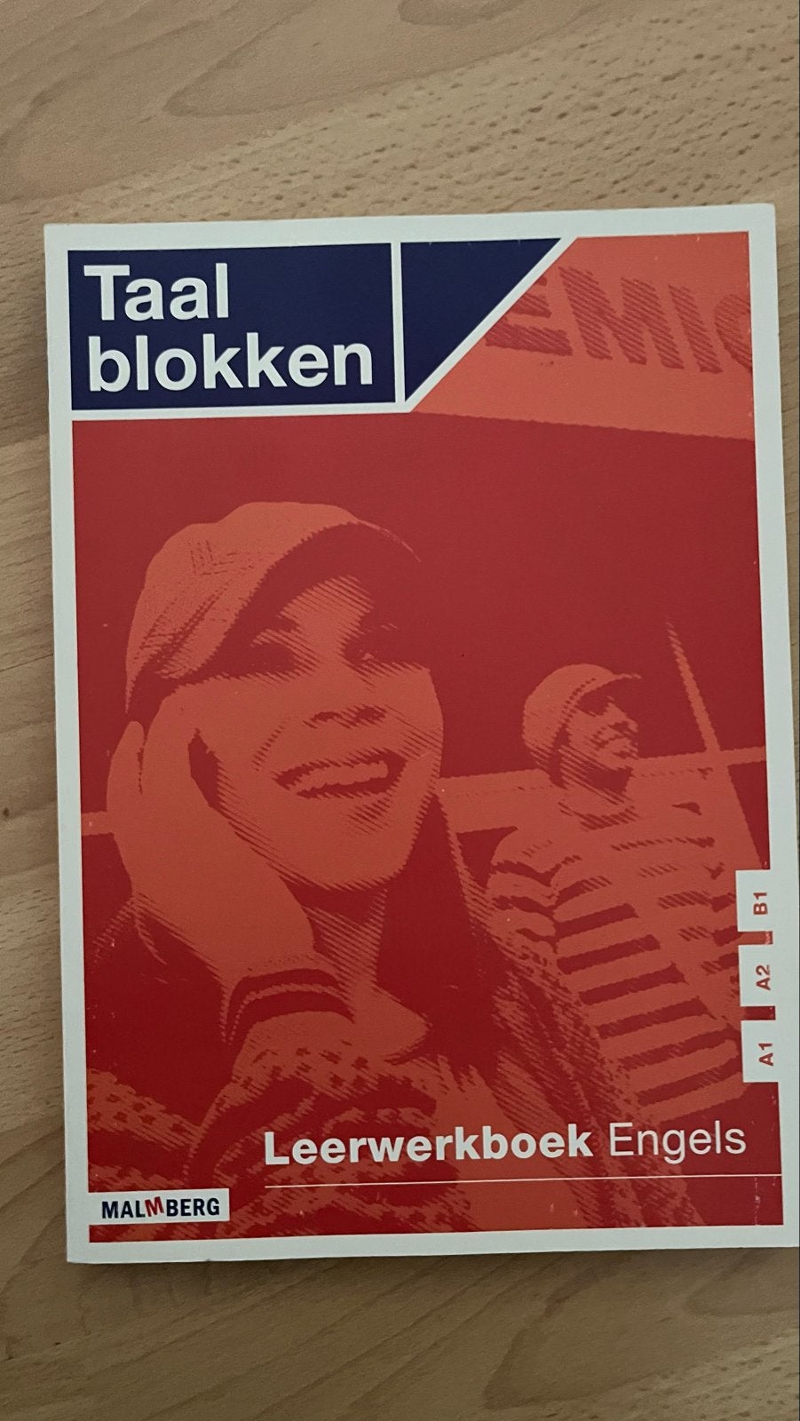 Taaalblokken Leerwerkboek Engels A1-B1 (ISBN 9789034567147), Ophalen of Verzenden, Gelezen, Non-fictie
