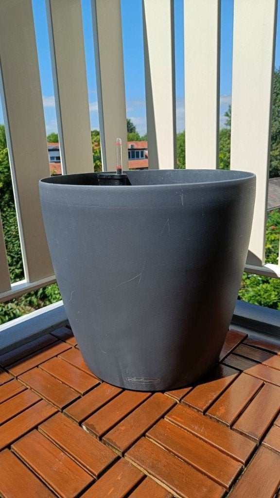 Lechuza Classico 43 | self-watering planter | complete set, Ophalen, Kunststof, Gebruikt, 40 cm of meer