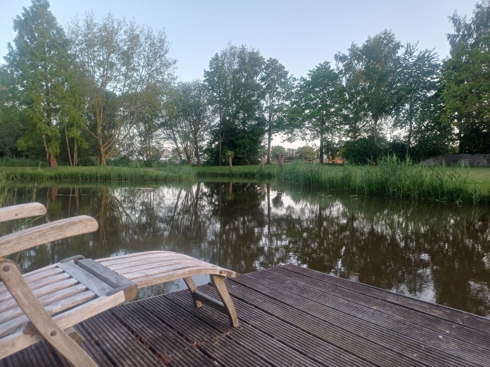 Gezocht graskarpers., Dieren en Toebehoren, Karper of Koi