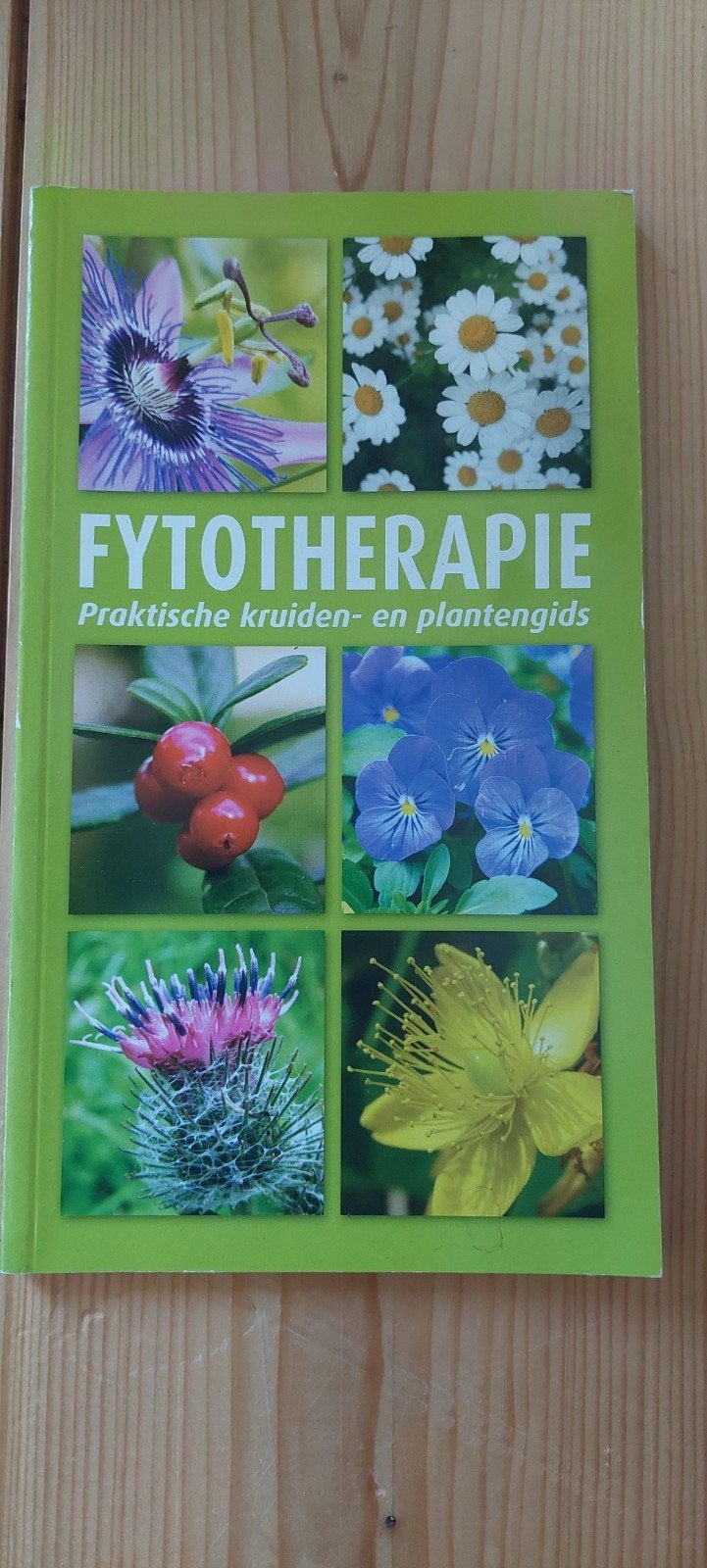 17. Fytotherapie: Praktische kruiden- en plantengids, Ophalen of Verzenden, Bloemen, Planten en Bomen