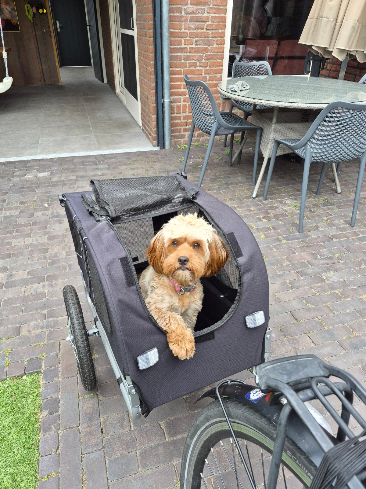 Honden fietskar - Zwart, opvouwbaar en zo goed als nieuw, Minder dan 20 kg, Opvouwbaar, Ophalen of Verzenden, Zo goed als nieuw