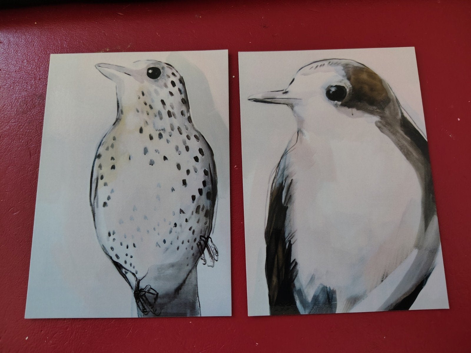 Postkaarten Zanglijster & Nachtegaal - Maartje van den Noort, Ophalen of Verzenden, 1980 tot heden, Ongelopen
