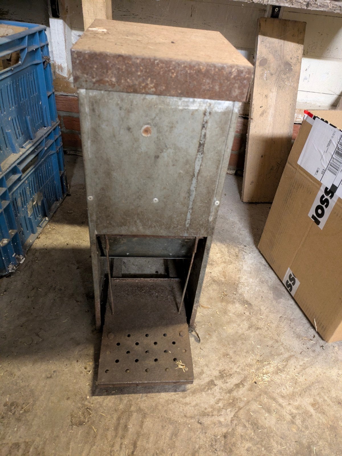 Trap voerbak kippen, Meerdere dieren, Kip