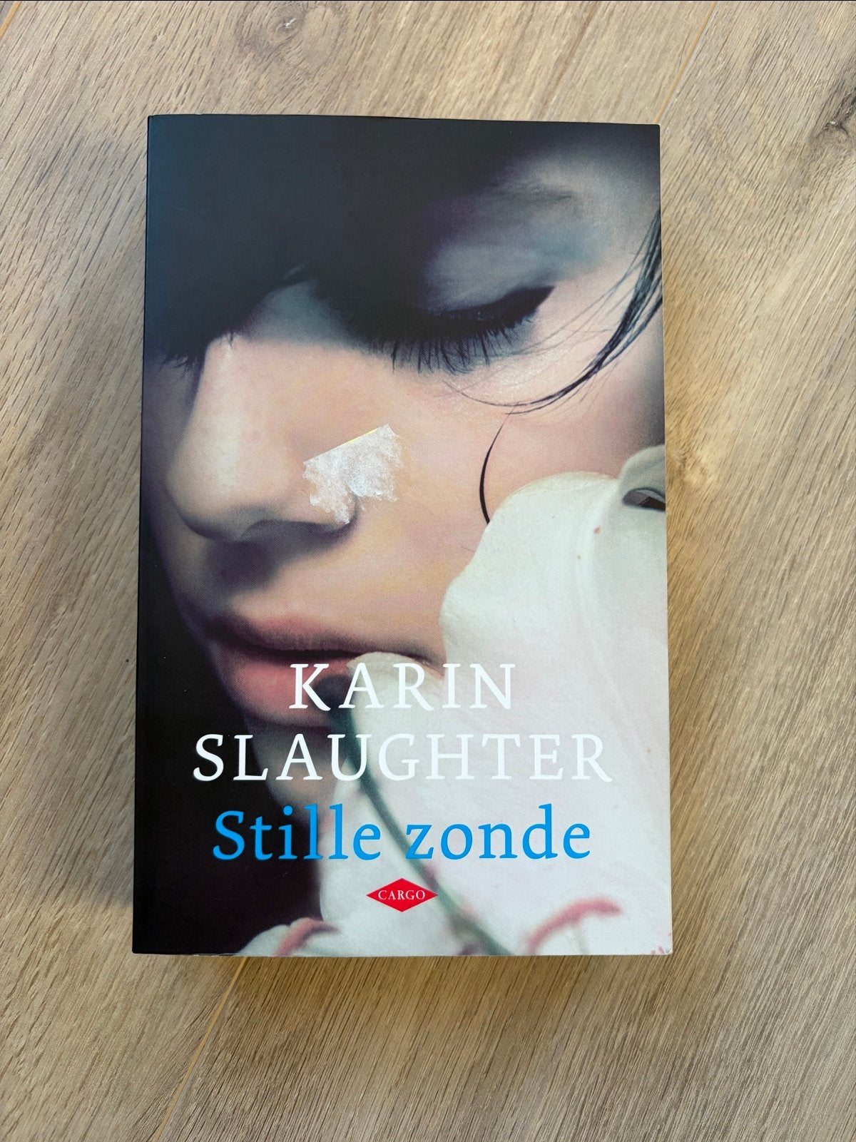 Karin Slaughter - Stille zonde, Ophalen of Verzenden, Gelezen