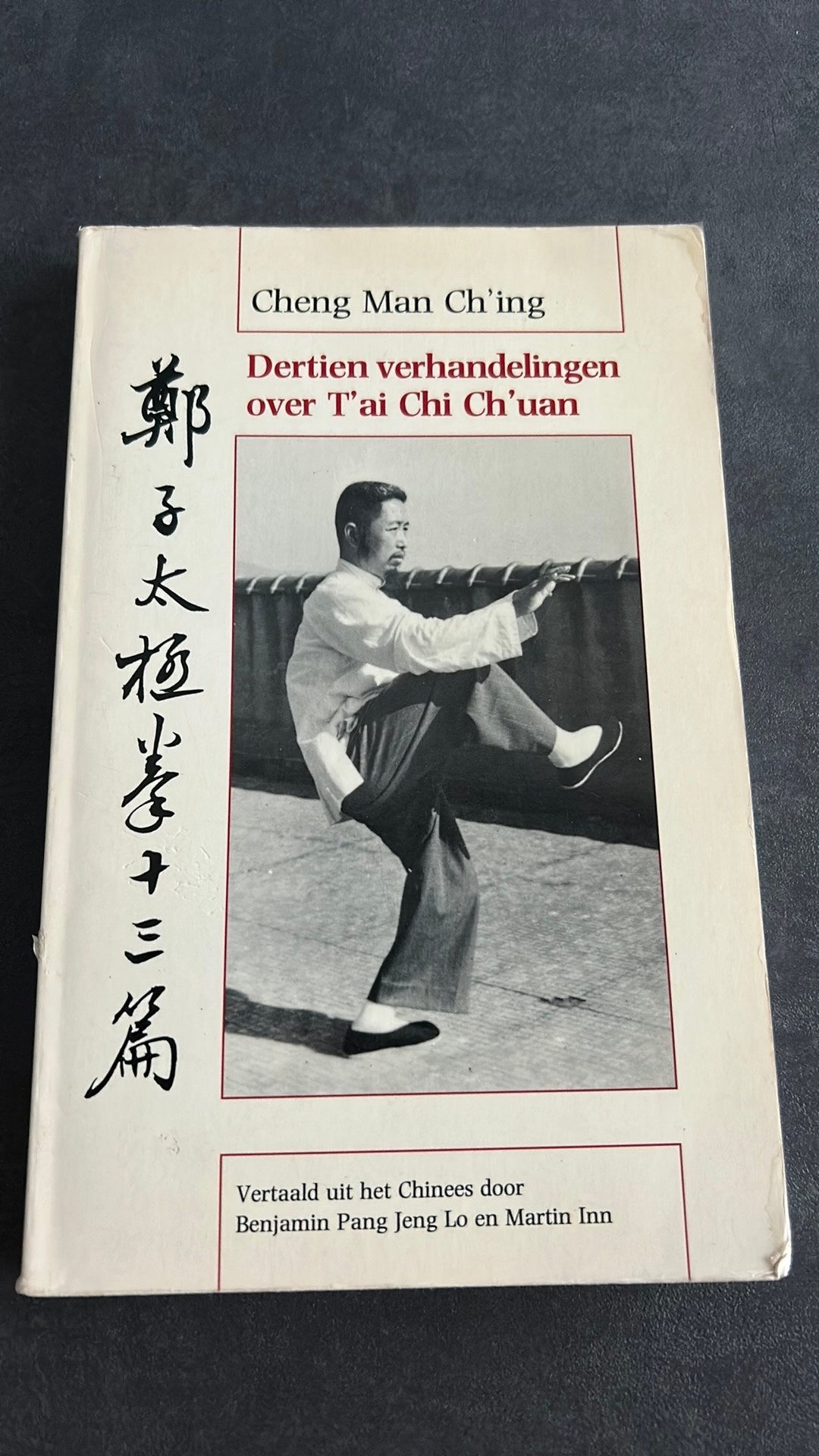 Dertien verhandelingen over t’ai chi en ch’uan, Ophalen of Verzenden, Gelezen, Vechtsport