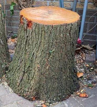 hakblok elzenhout, Tuin en Terras, Haardhout, Minder dan 3 m³, Ophalen