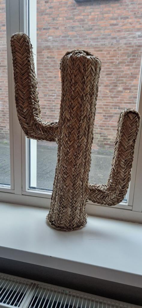 Rotan • Cactus, Ophalen of Verzenden