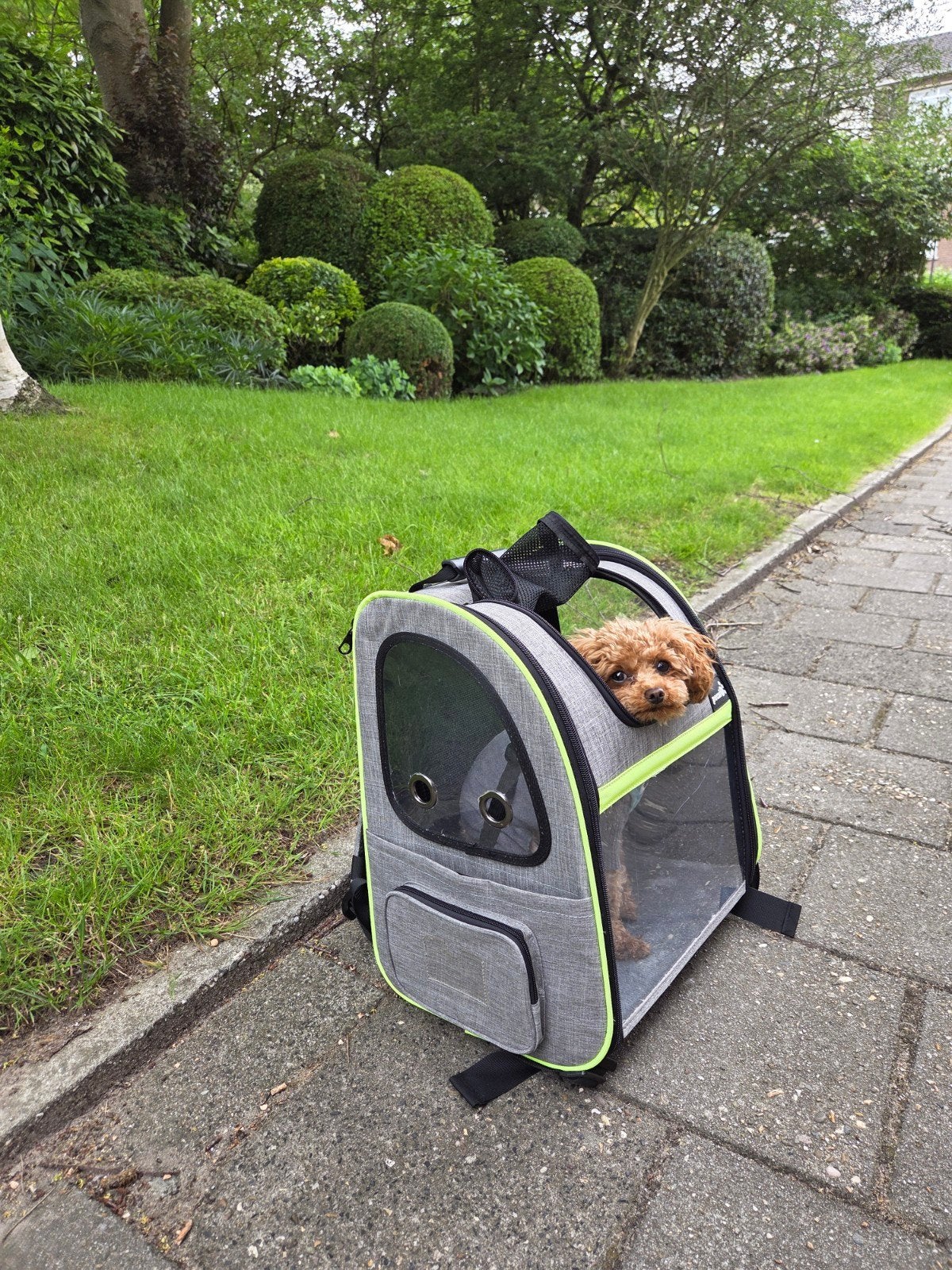 Pecute rugzak voor hond/poes met uitvouwbare buitenruimte, Ophalen of Verzenden, Gebruikt