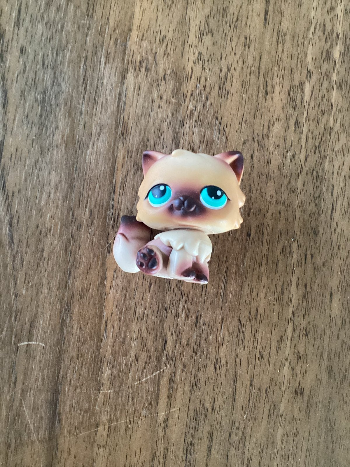 Littlest Pet Shop #707 Perzische/Siamese Kat - Bruin/Beige, Ophalen of Verzenden, Nieuw, Hond of Kat, Beeldje of Figuurtje