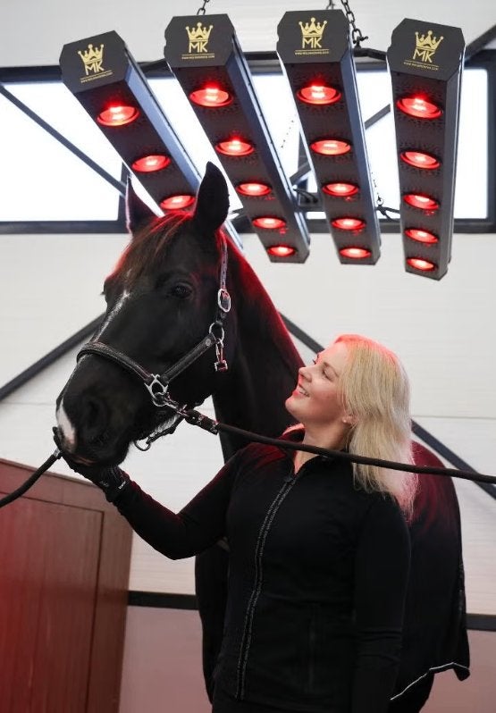 MK infrarood Premium Solarium voor paarden €1595 ,- excl.BTW, Ophalen, Nieuw
