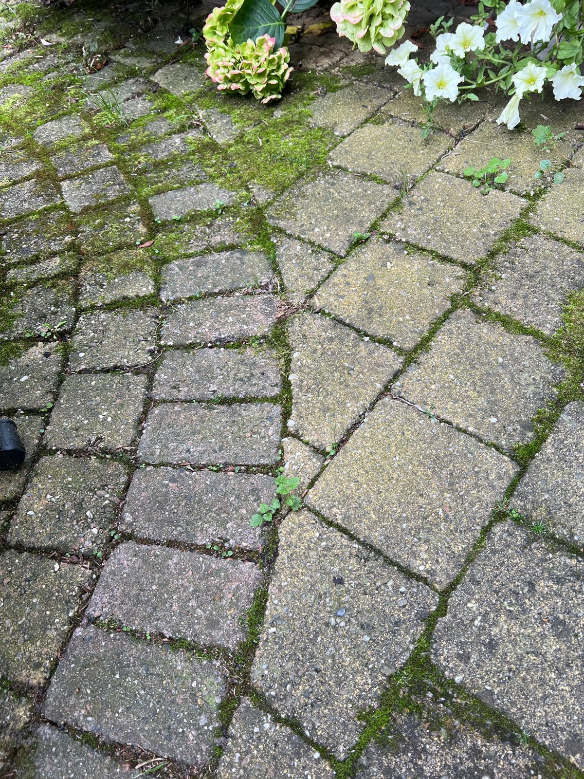 Gebruikte copple stones, ca 28 m2., Overige materialen, Gebruikt, 20 tot 40 cm, Vloertegels