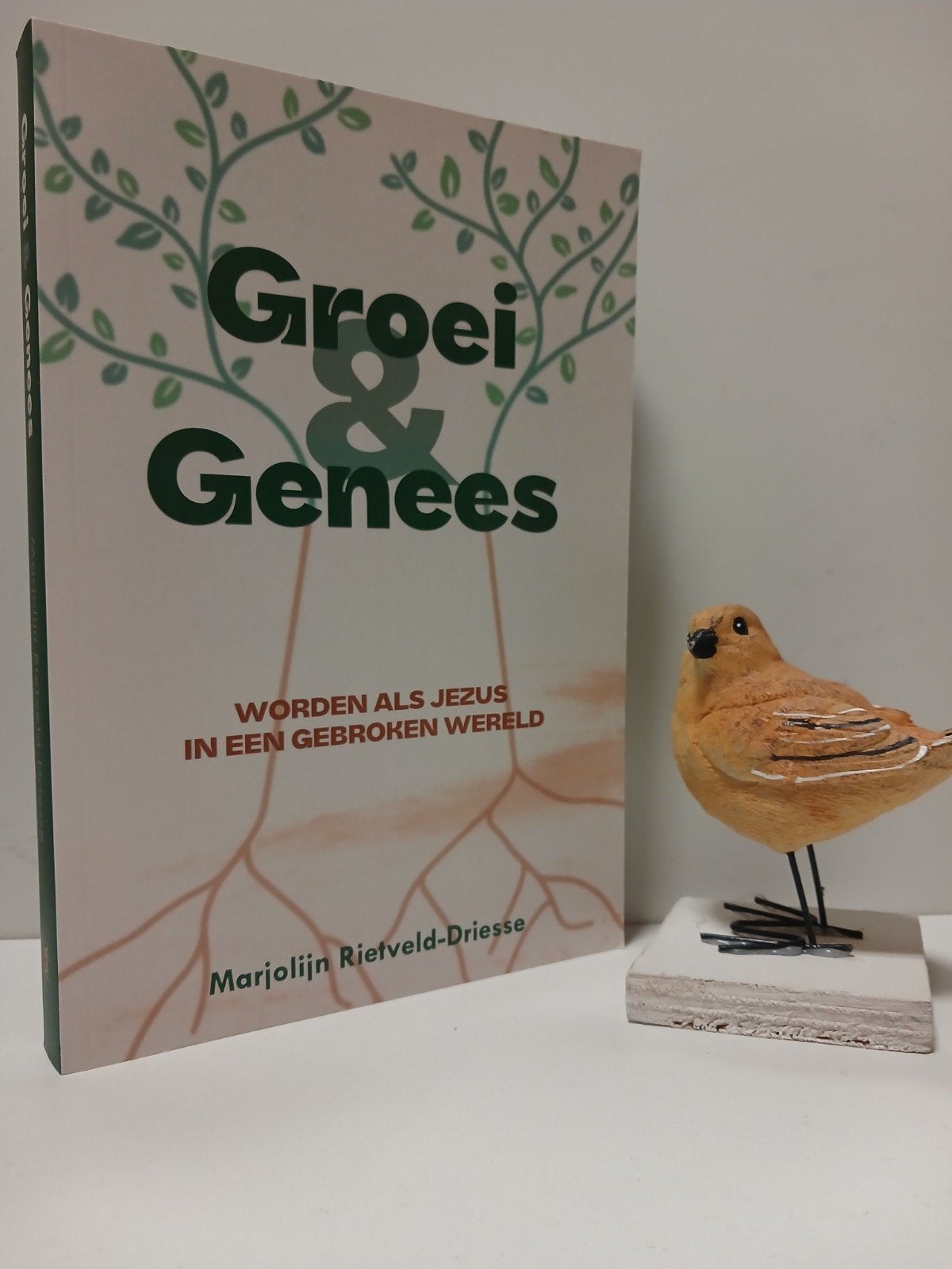 Rietveld-Driesse; Marjolijn;  Groei & genees, Boeken, Ophalen of Verzenden, Gelezen, Christendom | Protestants