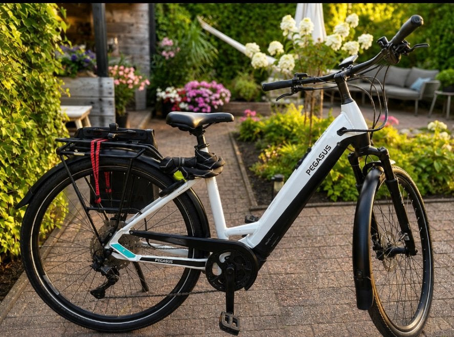 Pegasus Powered, 750 WH ready, Zo goed als nieuw, 51 tot 55 cm, 50 km per accu of meer, Ophalen