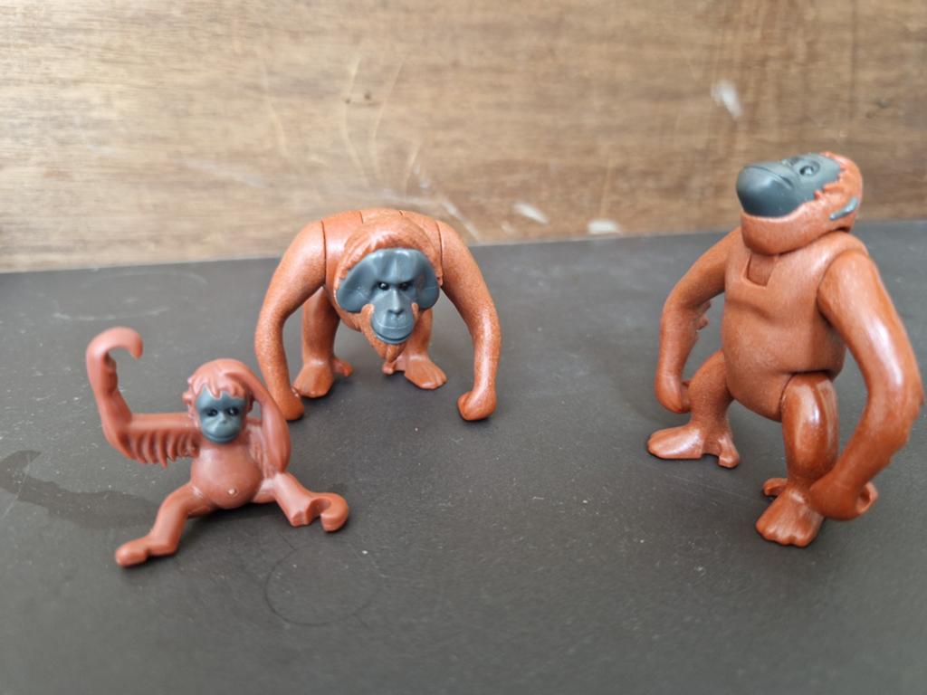 Playmobil 6648 - Orang-Oetan familie, Ophalen, Gebruikt, Complete set