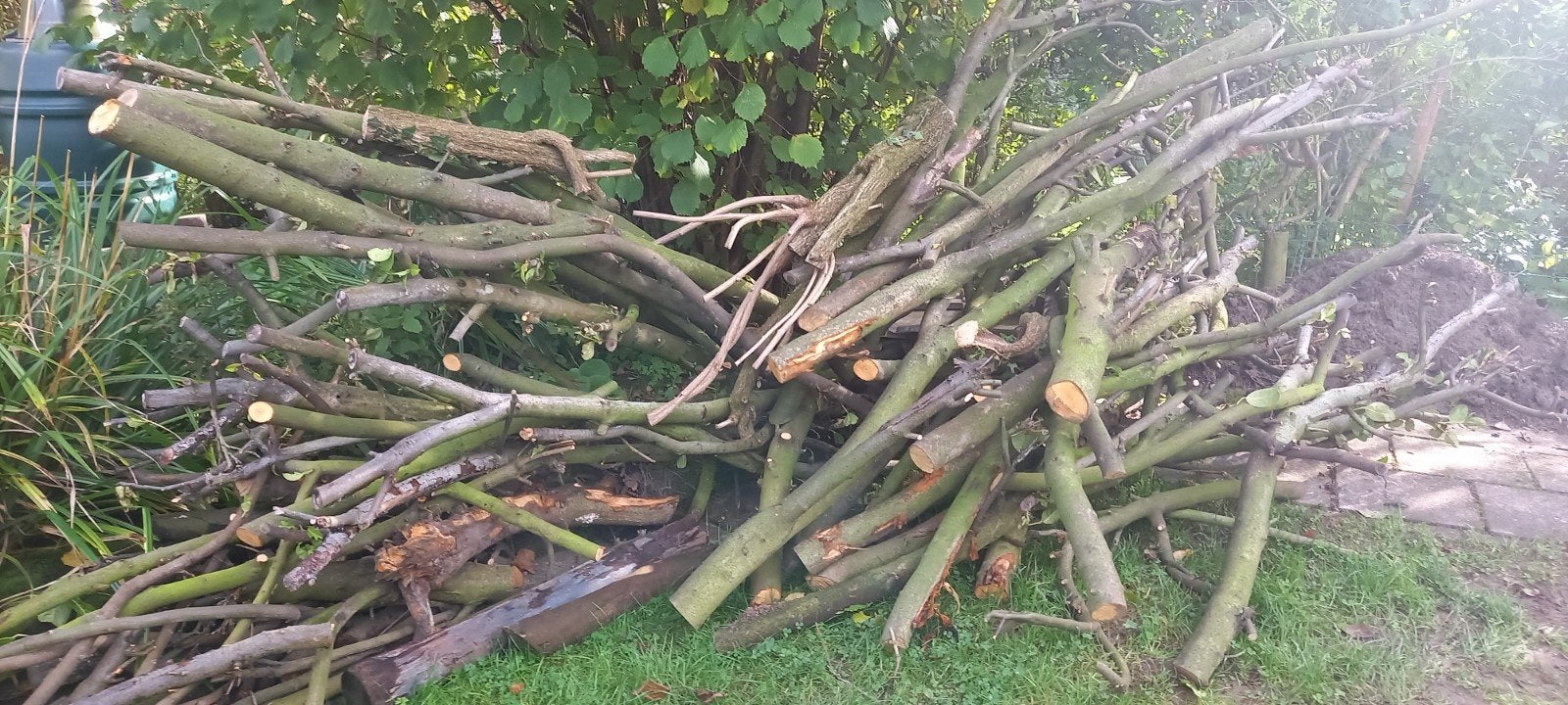 Ongeveer 2 kuub brandhout, diverse stammen, Tuin en Terras, Minder dan 3 m³, Ophalen, Overige houtsoorten, Stammen