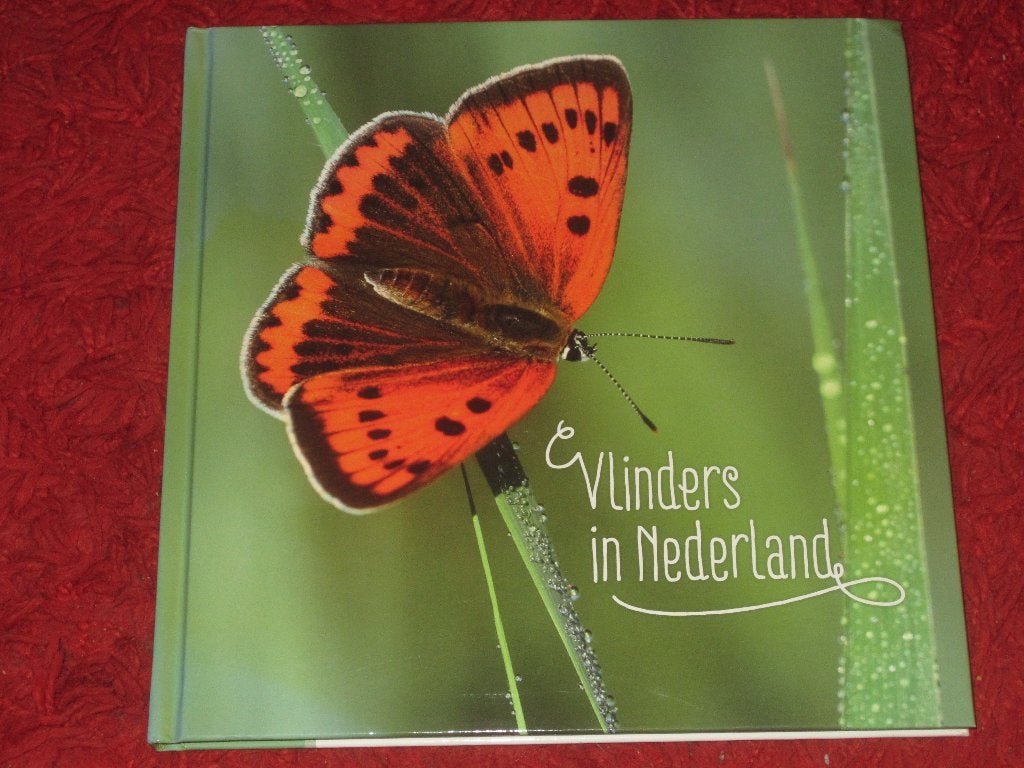Vlinders in Nederland., Boeken, Natuur, Zo goed als nieuw, Overige onderwerpen, Ophalen of Verzenden