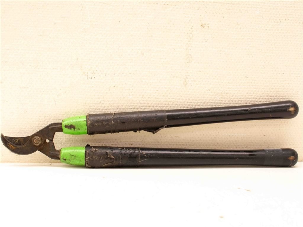 Takkenschaar 37921
