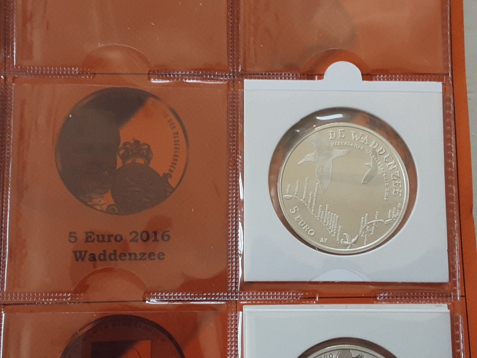 5 euro 2016 Waddenzee Zilver, Zilver, Overige landen, Ophalen of Verzenden, 5 euro