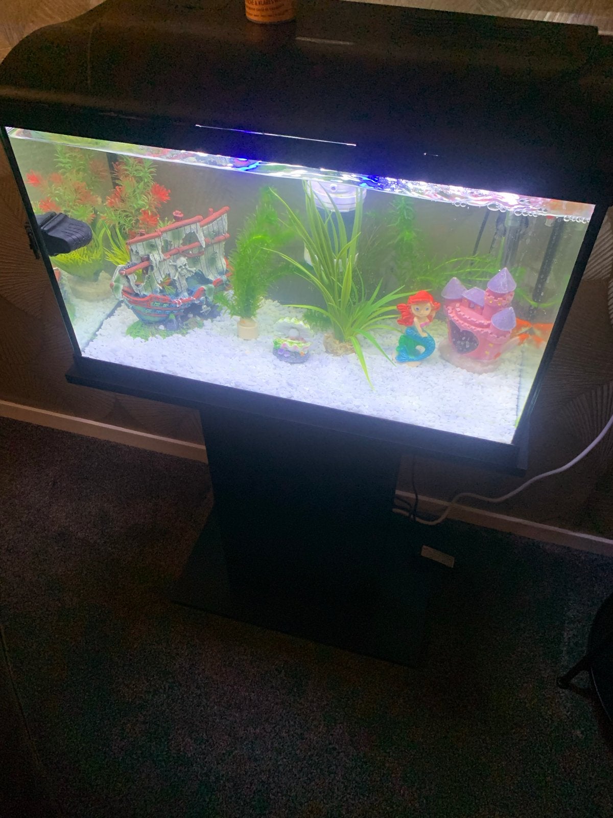 Argaruim met vissen compleet met pomp en alle toebehoren, Ophalen of Verzenden, Zo goed als nieuw, Gevuld zoetwateraquarium