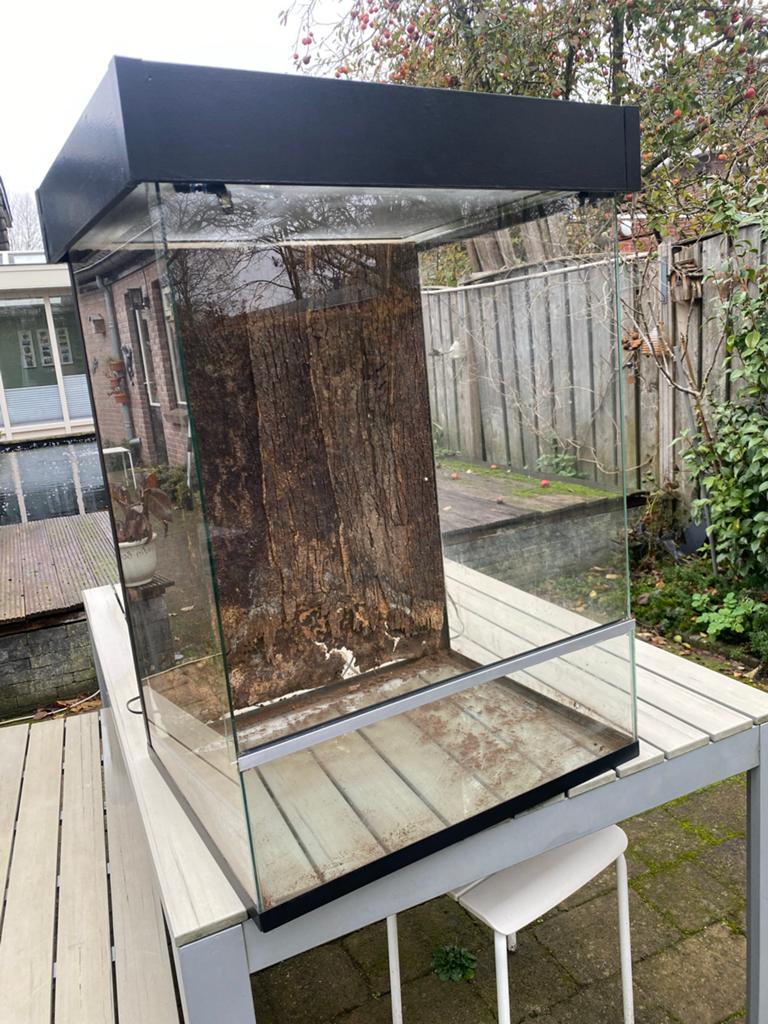 Terrarium 81x60x50, Dieren en Toebehoren, Reptielen en Amfibieën | Toebehoren, Ophalen
