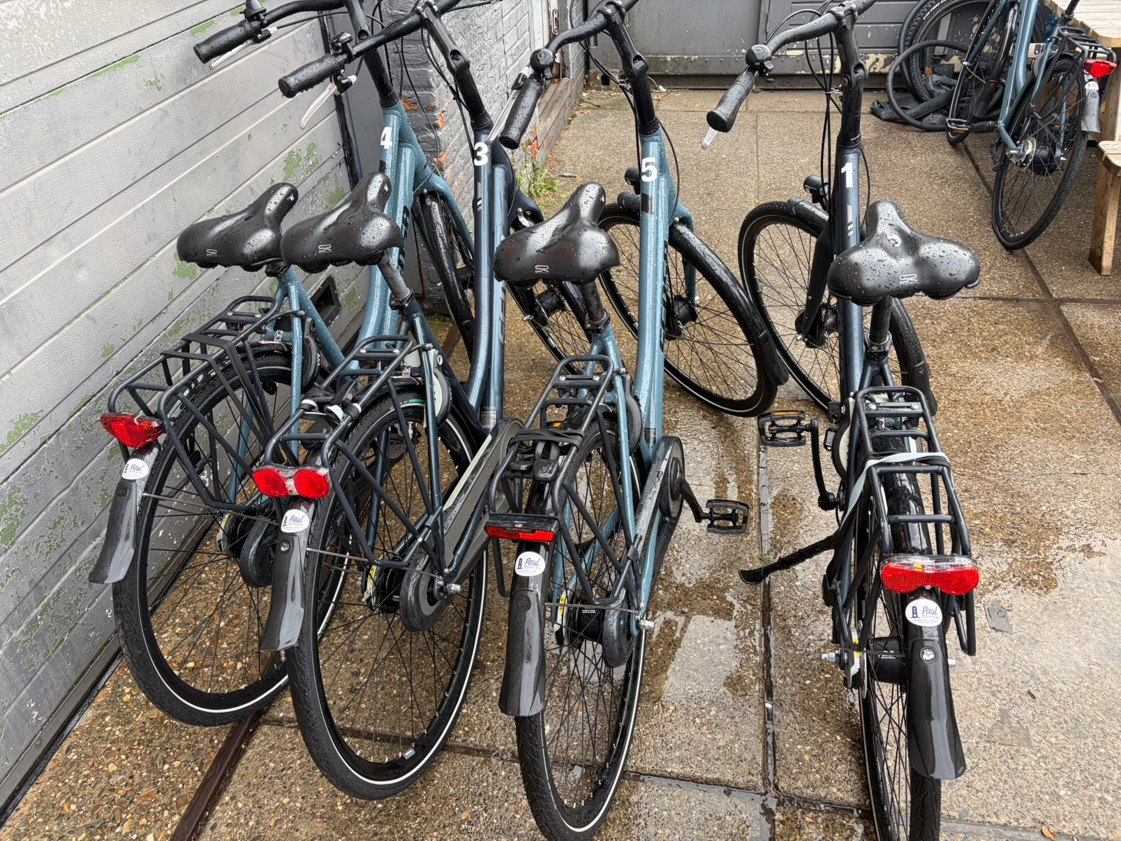 Foto 3 van ZGAN! 2025 sensa treviso damesfietsen stadsfiets nexus 7vers