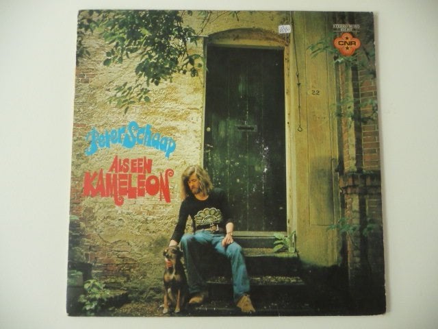 lp PETER SCHAAP - ALS EEN KAMELEON - CNR Records, 1975, LP, Gebruikt, Overige genres, Ophalen of Verzenden
