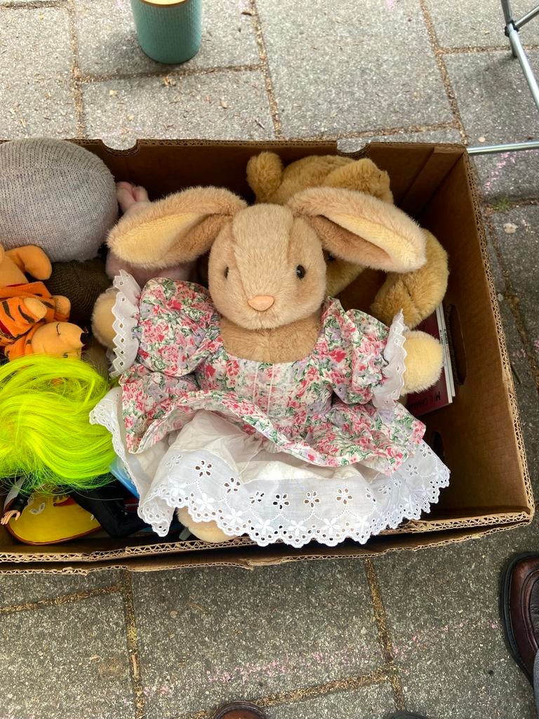 Gezocht: konijnen knuffel met jurk, Ophalen of Verzenden, Gebruikt, Overige typen
