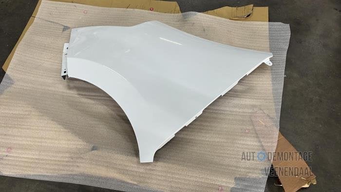 Scherm links-voor van een Renault Master (0369), -, Renault, -, Nieuw