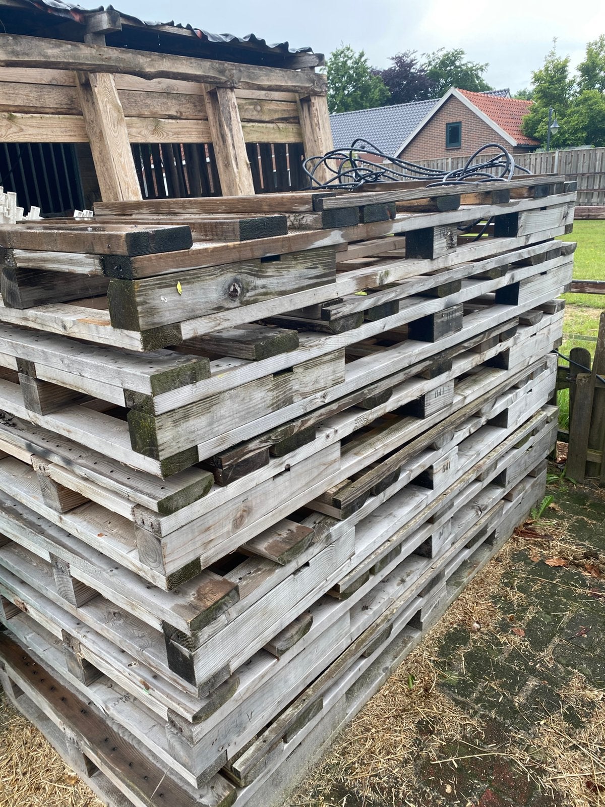 Pallets hout groot, Doe-het-zelf en Verbouw, Hout en Planken, Pallet, Overige houtsoorten, Minder dan 200 cm, 50 mm of meer, Ophalen